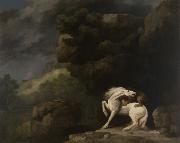 George Stubbs A Lion Attacking a Horse Spain oil painting artist